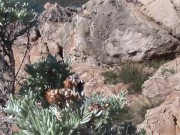 This hot Milf don't give a fuck about other people he want that in on the beach 6/16