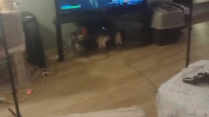 Filming Cute Girl Aggressively Playing Fortnite In Her Nightgown
