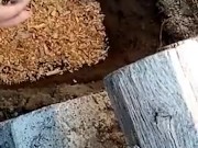 How to make compost