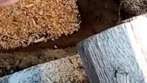 How to make compost