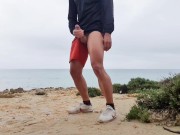 Masturbating My Big Cock at a Public Beach - Almost Busted!