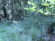 sex in a field with a busty mature slut, fuck like animals 1/16