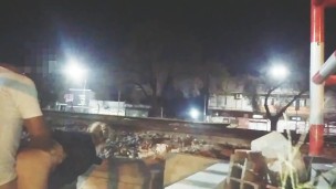 chica pide sexo en publico en vías del tren nos miran follar los pasajeros y personas camión y auto
