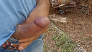 I take the bird out of the cage