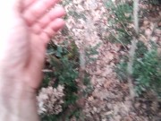 naked in the wood, walk in the brambles near road 12/16