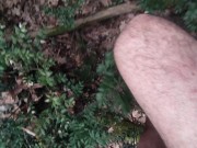 naked in the wood, walk in the brambles near road 14/16