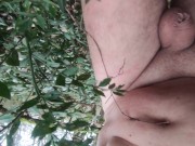 naked in the wood, walk in the brambles near road 15/16