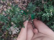 naked in the wood, walk in the brambles near road 2/16