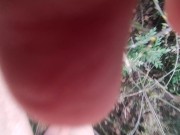 naked in the wood, walk in the brambles near road