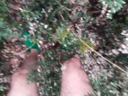 naked in the wood, walk in the brambles near road 6/16