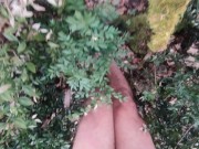 naked in the wood, walk in the brambles near road 7/16