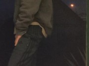 I met the evening in the garden 13/16