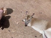 [Eng sub]旅行中リアルセックス盗撮動画in ケアンズ編②| JAPANESE COUPLE ROMANCE SEX DURING OUR ROAD TRIP IN CAIRNS ② 7/16