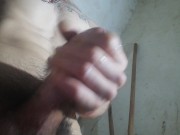 Leche para gatitas