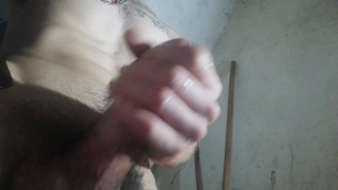 Leche para gatitas