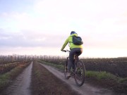 Riding A Bicycle View From Behind 15/16