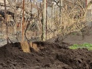 Gardening brings pleasure 13/16