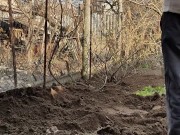 Gardening brings pleasure 15/16