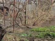 Gardening brings pleasure 3/16