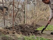 Gardening brings pleasure 8/16