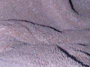 sorry friend 😨 I think you make me horny I had to touch myself 2/16