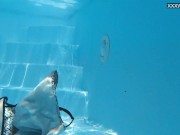 Join the exciting and erotic place of underwater babes 13/16