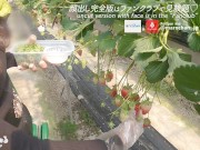 素人女子大生といちご狩りデート♡白濁液を全身にぶっかけられて大興奮　フェラ　日本人　カップル　セックス　主観　おっぱい　巨乳　スタイル抜群　美女　ハメ撮り　個人撮影　手コキ　クンニ　まろちゃんねる - Screenshot 7 of 16 - Cream Pie
