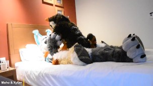 Murrsuit Wild Sex - Pilot Video - Maho & Xytan