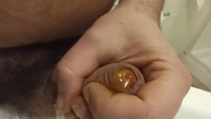 morning stron pee and foreskin play. Extreme close up.