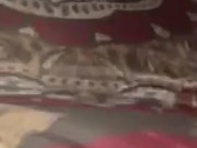 hotwife Ashley get fucked my hubbys best friend 16/16