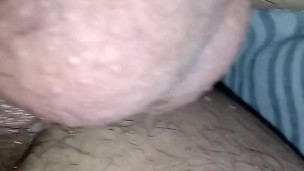 Un gordito pasivo nos visita