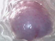Sweet creampie in vagina. Super internal camera 12/16