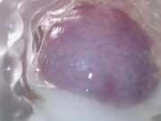 Sweet creampie in vagina. Super internal camera 16/16