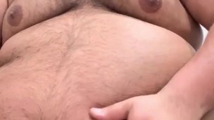 Latin Chub playing with belly