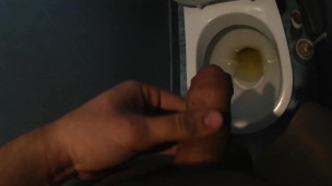 Pissing In Toilet