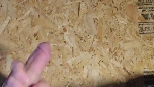 When I get bored in the shed
