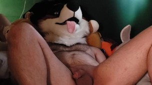 Horny Collie pants as Weredog Skylar toy sinks into him