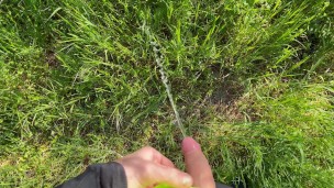 Lunga pisciata nel prato al parco