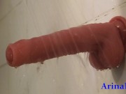 Arina loves sex everywhere and even in the shower