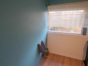 Nerdy Faery Standing Piss: 2 Urinals, 1 Toilet 1/16