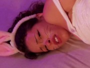 Especial de Páscoa da Mansão Himeros 15/16