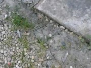 Amatrice française sodomisée par un agent immobilier 4/16