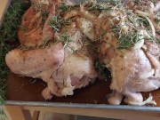 Last Year's Turkey Day! 10/16