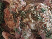 Last Year's Turkey Day! 13/16