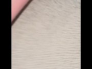 Amelia gets her pussy stretch by big dick 15/16