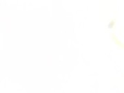 She let her friend watch 13/16