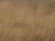 Petite teen fucked in her tight pussy on doggy style, pussy close up