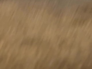 Petite teen fucked in her tight pussy on doggy style, pussy close up