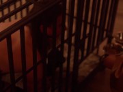 Daily Life Of Mistress Rogue's Pet 15/16