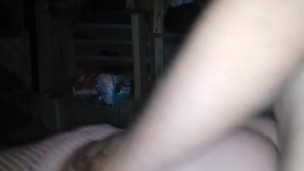 De perrito bien rico con su vestidito rosa